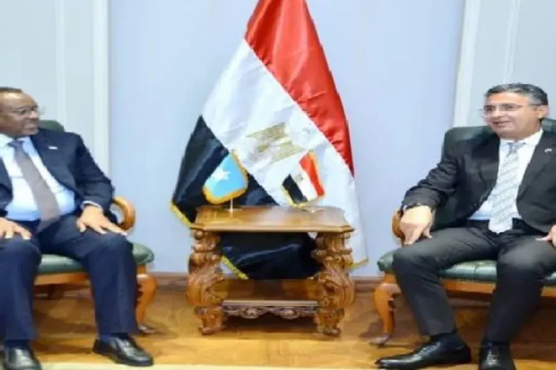 وزير التموين يلتقي سفير جمهورية الصومال الفيدرالية دكتور. التقى شريف فاروق وزير التموين والتجارة الداخلية، مع السفير علي عبدي عواري سفير جمهورية