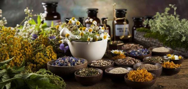 تعرف على أفضل الأعشاب الطبية وفوائدها الصحية.يتم استخدام الأعشاب الطبية في علاج العديد من الامراض منذ قديم الزمان، ولكن إن الأعشاب الطبية لا تعالج