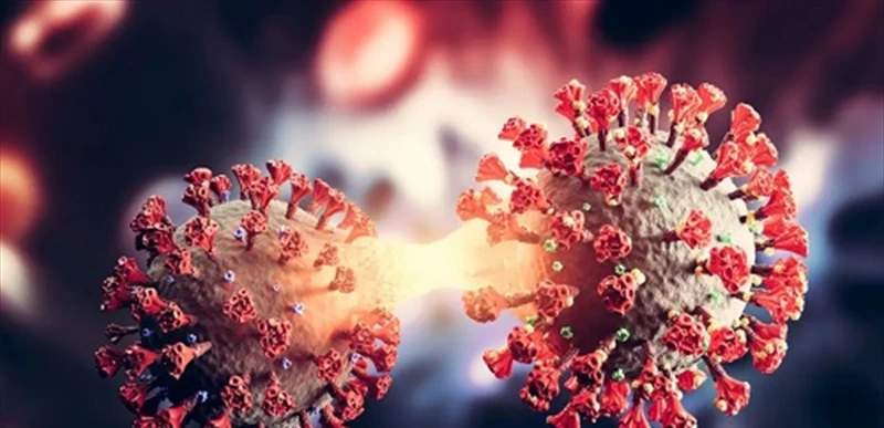 كيف يمكن أن تؤدي عدوى كوفيد-19 إلى الإصابة بهذا المرض؟ صحة استخدم باحثون من كلية طب وايل كورنيل نظاما نموذجيا متطورا للكشف عن الآلية التي يحفز بها فيروس كورونا حالات جديدة من مرض ا