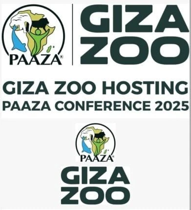 مصر تشارك في مؤتمر الاتحاد الإفريقي لحدائق الحيوان في جوهانسبرج مصر تشارك في مؤتمر الاتحاد الإفريقي لحدائق الحيوانسهيلة قنديلغادر القاهرة وفد التحالف