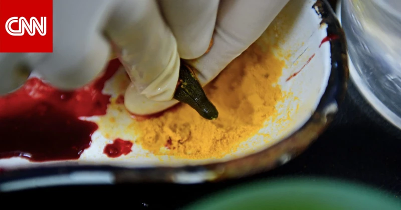 من بينها الكركم.. 6 أطعمة تساعد في علاج آلام المفاصل تكنولوجيا دبي، الإمارات العربية المتحدة ()-- بدلا من تناول المسكنات والأدوية الخاصة بتخفيف آلام