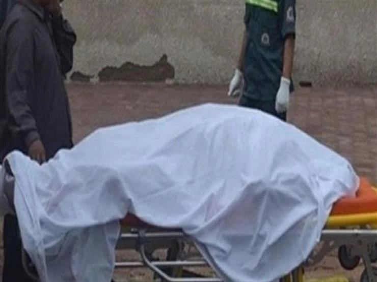 ماذا يحدث للأعضاء بعد وفاة الإنسان؟ لن تتخيل لايف ستايل 05:00 م الخميس 19 سبتمبر 2024 يتساءل الكثير من الأشخاص عن عما يحدث للجسم والأعضاء بعد الوفاة، ومنذ هذه اللحظة يبدأ الجسم في 