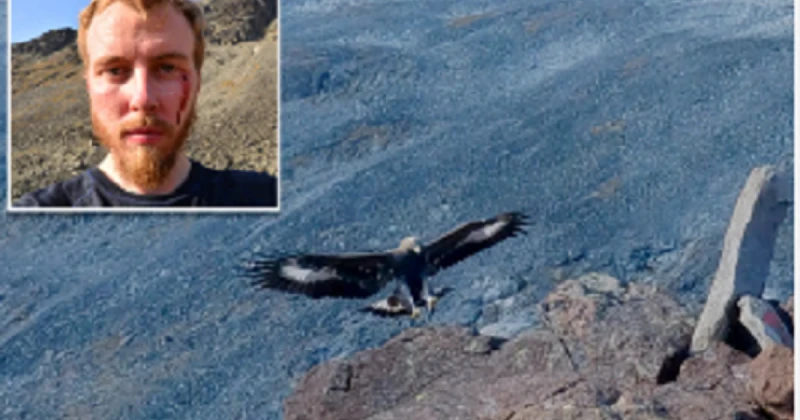 نسر ذهبي عدواني يهاجم طفلا وثلاثة آخرين في النرويج ويتم قتله تعرف على التالي نسر ذهبي عدواني يهاجم طفلا وثلاثة آخرين في النرويج ويتم قتله، هاجم نسر