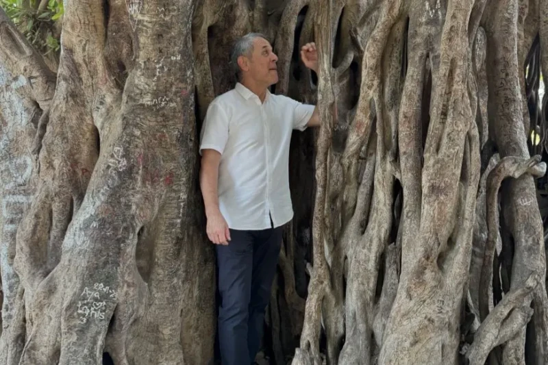 كولر يغازل جماهير الأهلي: دعمكم يجعلنا أقوى ولا يمكن إيقافنانشر السويسري مارسيل كولر، المدير الفني لفريق النادي الأهلي صور له وسط أحد الأشجار القديمة