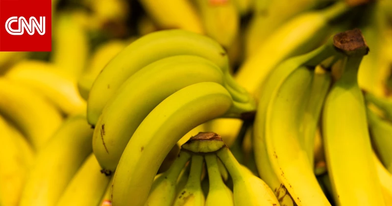 14 مصدرا طبيعيا لمعدن البوتاسيوم..بدلا من المكملات الغذائية تكنولوجيا دبي، الإمارات العربية المتحدة ()-- يلعب البوتاسيوم دورا أساسيا في تنظيم وظيفة الأعصاب ونقل العناصر الغذائية إل