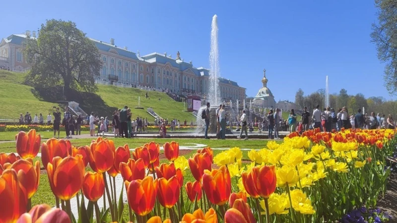فيديوهات تدمير مركز قيادة أوكراني الذكرى العشرون للهجوم الإرهابي في بيسلان.. مراسم تأبين في موسكو مقتل شخص وإصابة 20 في هجمات جوية أوكرانية استهدفت مناطق سكنية في بيلغورود مهرجان ك