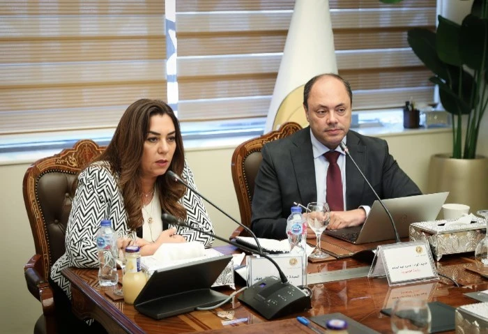 وزيرة التنمية المحلية: توجيهات رئاسية بسرعة إنهاء ملف المشروعات المتعثرة شددت الدكتورة منال عوض، وزيرة التنمية المحلية، خلال اجتماعها مع اجتماعا اليوم مع المحافظين عبر تقنية الفيدي