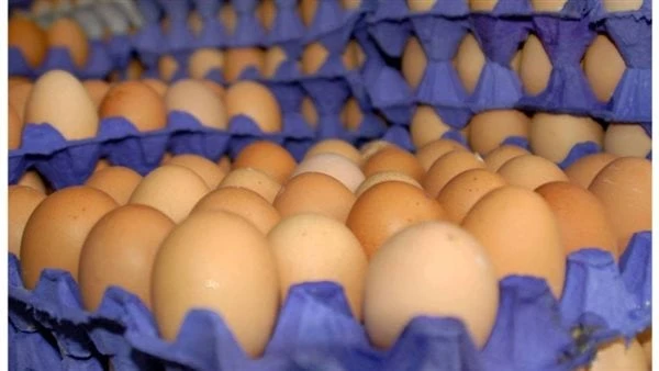 بعد وصوله 190 جنيهاتحرك عاجل من الحكومة لخفض أسعار البيض.. والثمن الجديد مفاجأةتعمل الدولة جاهزة على ضبط أسعار البيض في الأسواق بعدما بلغت أسعار
