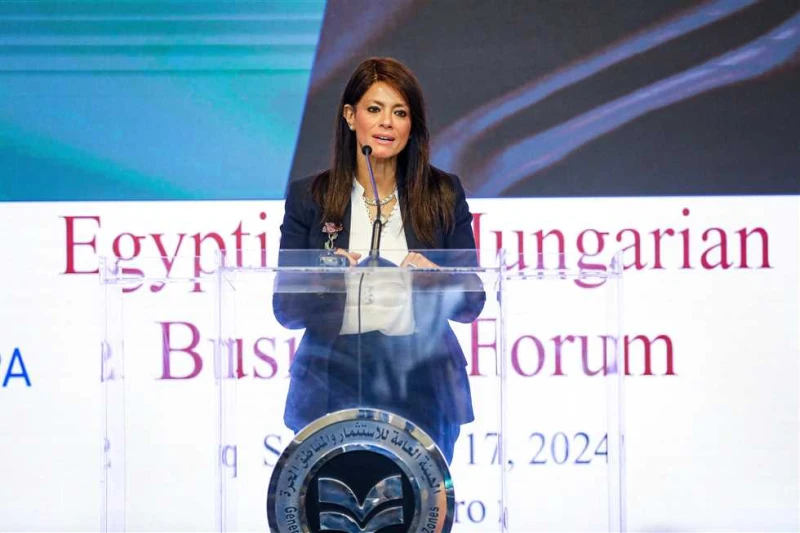 تعيين وزيرة التخطيط والمالية ومحافظ البنك المركزي في عدة مؤسسات دولية (تفاصيل) أصدرت الجريدة الرسمية قرارات لرئيس الوزراء الدكتور مصطفى مدبولي،