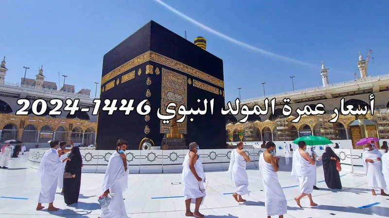 جميع البرامج.. أسعار عمرة المولد النبوي 2024-1446 وخطوات التسجيل عبر منصة نسك ..أسعار عمرة المولد النبوي 2024 من الموضوعات التي تشغل اهتمام فئة عريضة