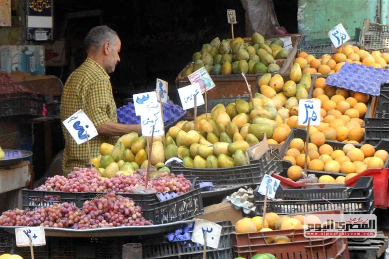 سعر الموز والتفاح والفاكهة بالأسواق اليوم الجمعة 13 سبتمبر 2024 يبحث عدد كبير من المواطنين عن أسعار الفاكهة بالأسواق اليوم الجمعة 11 سبتمبر 2024، لشراء احتياجاتهم بأنسب الأسعار خلا