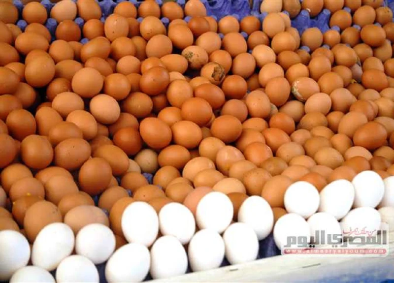 تعرف على أسعار البيض اليوم 10 سبتمبر 2024 بعد إحالة بعض حيتان التجار للتحقيقتعرف على أسعار البيض اليوم بعد إحالة بعض حيتان التجار للتحقيق..تسعى