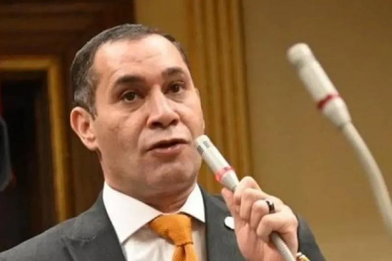 النائب أحمد عاشور: الدولة المصرية تقدر جيدا ما يبذله الفلاح من جهود أكد النائب أحمد عاشور عن أهمية توجيهات الرئيس عبدالفتاح السيسي في دعم المزارعين