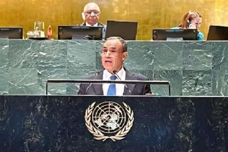 وزير الخارجية يستعرض أمام الأمم المتحدة ملامح المقاربة المصرية لحل أزمات المنطقة عرض الدكتور بدر عبدالعاطي، وزير الخارجية المصري، الجهود التي تقوم