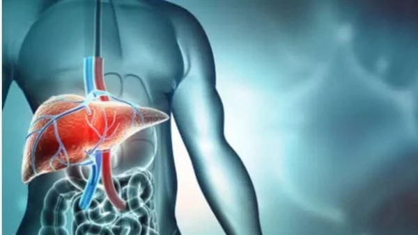 في منه نوعين.. 10 أعراض تكشف التهاب الكبد يعد فيروس التهاب الكبد من الأمراض العاجلة التى تتطلب تلقي العلاج السريع لوقف نشاط الفيروس ومنعه من إحداث