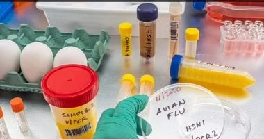 تطوير اختبارات أنفلونزا الطيور مع ارتفاع الحالات البشرية خوفا من تحور الفيروس صحة وطب قالت صحيفة ، إنه سيتم تطوير اختبارات إنفلونزا الطيور مع ارتفاع
