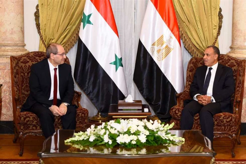 وزير الخارجية يؤكد موقف مصر الداعم لسوريا في مواجهة كل التحديات استقبل الدكتور بدر عبد العاطي وزير الخارجية والهجرة وشئون المصريين بالخارج اليوم بقصر التحرير، الدكتور فيصل المقداد 