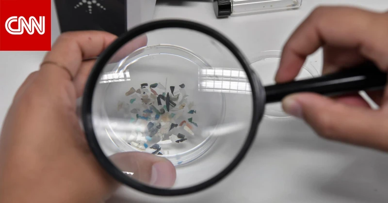 كميات متزايدة من جسيمات البلاستيك الدقيقة في أنسجة الدماغ.. إليكم ما كشفته دراسة تكنولوجيا وجدت دراسة، قارنت بين عمليات تشريح الجثث تعود إلى عامي