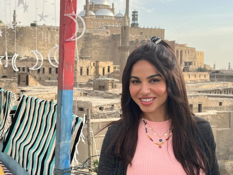 نسرين أمين تنسحب من فهد البطل والسبب العتاولة خرجت الفنانة نسرين أمين من قائمة أبطال مسلسل فهد البطل للفنان أحمد العوضي، وذلك بعد تعاقدها على العمل