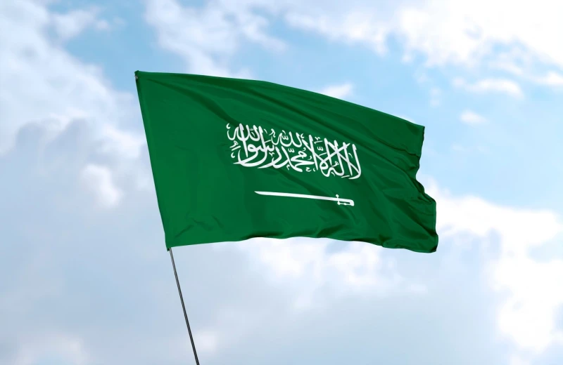 في اليوم الوطني السعودي: تعرفوا إلى أشهر أدباء ومثقفي المملكة الأدب السعودي هو النصوص الأدبية المكتوبة باللغة العربية من قبل الكتاب أو الشعراء