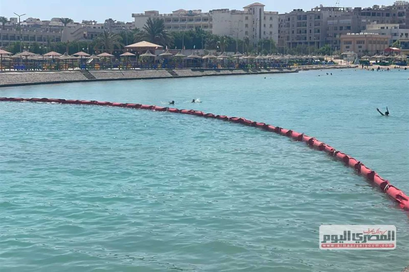 لم ترصد أي تلوث بترولي.. تواصل أعمال المسح البحري الثاني شمال الغردقة تواصلت عمليات الرصد والمتابعة للمنطقة البحرية بين منطقتي جبل الزيت والغردقة بالبحر الأحمر،اليوم الإثنين، لمتاب