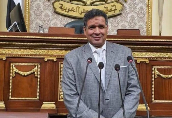 دفاع النواب: الإفراج عن 151 من المحبوسين احتياطيا يعزز حقوق الإنسان ثمن النائب عصام العمدة عضو لجنة الدفاع والأمن القومي بمجلس النواب، قرار الإفراج
