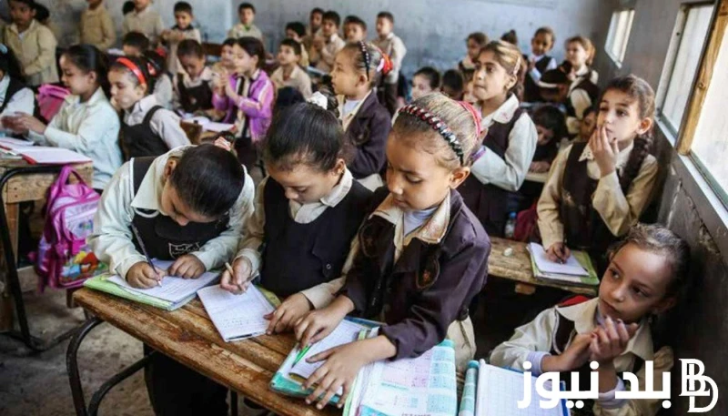 وزارة التربية والتعليم توضح حقيقة تأجيل الدراسة في المدارس الحكومية في مصر وإعلان جدول الخريطة الزمنية للعام الجديد .() تداولت في الأيام الأخيرة