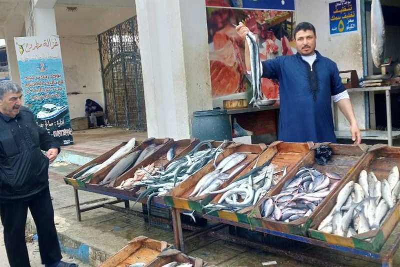 البلطي ب82 جنيها.. أسعار الأسماك بسوق العبور اليوم الثلاثاء 3 سبتمبر 2024 شهدت أسعار الأسماك، اليوم الثلاثاء ،3 سبتمبر 2024، إرتفاع أسعار البلطي ،خلال تعاملات اليوم ،وذلك وفقا حيث