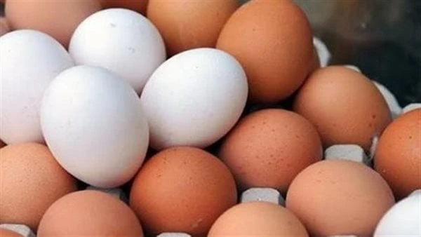 مقلي ومسلوق .. طبيبة توضح الطريقة الصحية لطهي البيض نشرت الدكتورة سماح نوح رئيس قسم الإرشاد البيطري على صفحتها الشخصية بالفيسبوك منشور طرق طهي البيض