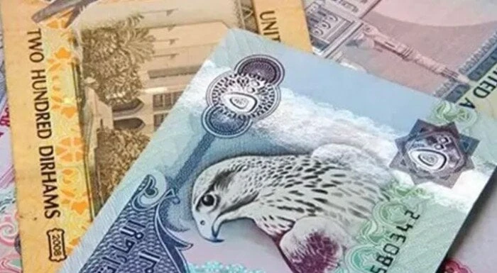 سعر الدرهم الإماراتي في مصر اليوم.. الثلاثاء 10 سبتمبر 2024سعر الدرهم الإماراتي.. شهد سعر الدرهم الإماراتي استقرارا ملحوظا أمام الجنيه في بداية