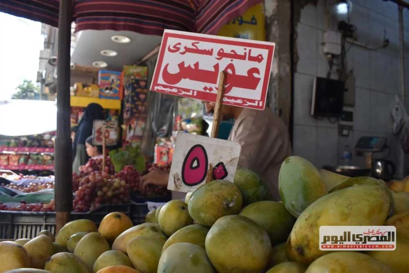 سعر الموز والتفاح والفاكهة بالأسواق اليوم الجمعة 6 سبتمبر 2024 يبحث عدد كبير من المواطنين عن أسعار الفاكهة بالأسواق اليوم الجمعة 6 سبتمبر 2024، لشراء