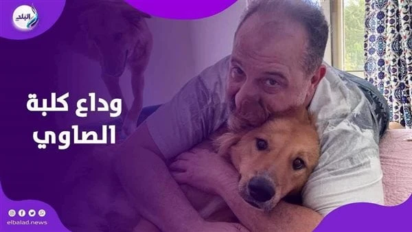 بعد عزاء كلبة خالد الصاوي.. هل واسى النبي أحدا في وفاة الحيوانات أو الطيور؟أثار تقديم الشيخ مظهر شاهين، الداعية الإسلامي، العزاء في كلبة الفنان خالد