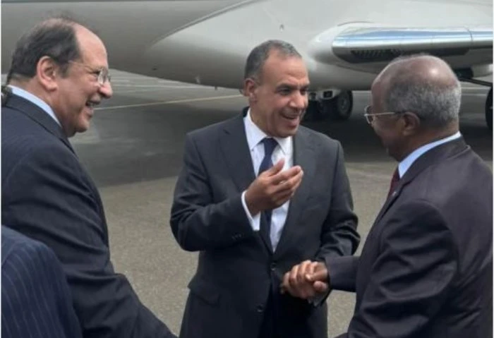 رئيس المخابرات ووزير الخارجية يزوران العاصمة الإريترية أسمرة قام كل من الوزير رئيس المخابرات العامة، ووزير الخارجية والهجرة وشئون المصريين بالخارج