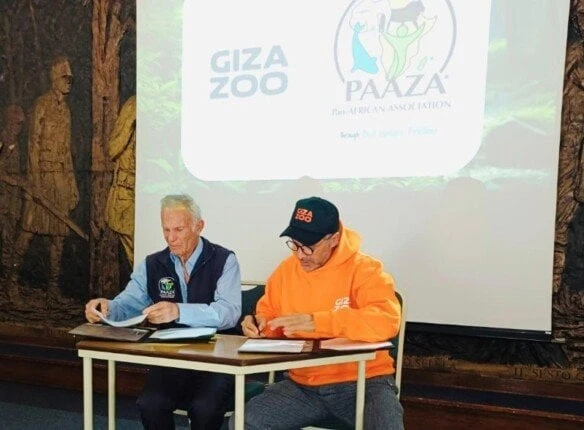 لتبادل البنوك البيولوجية.. توأمة بين حديقتي الحيوان بالجيزة وجوهانسبرجوقع الوفد المصري المشارك في الاتحاد الإفريقي لحدائق الحيوان، اتفاقية توأمة بين