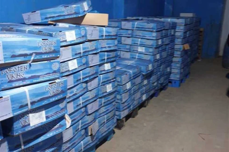 ضبط 2.1 طن دواجن ولحوم مجمدة مجهولة المصدر في حملات رقابية بالشرقية كثفت الأجهزة الرقابية بالشرقية، بالتنسيق مع مديرية الطب البيطري من الحملات التفتيشية والرقابية على المعارض وشواد