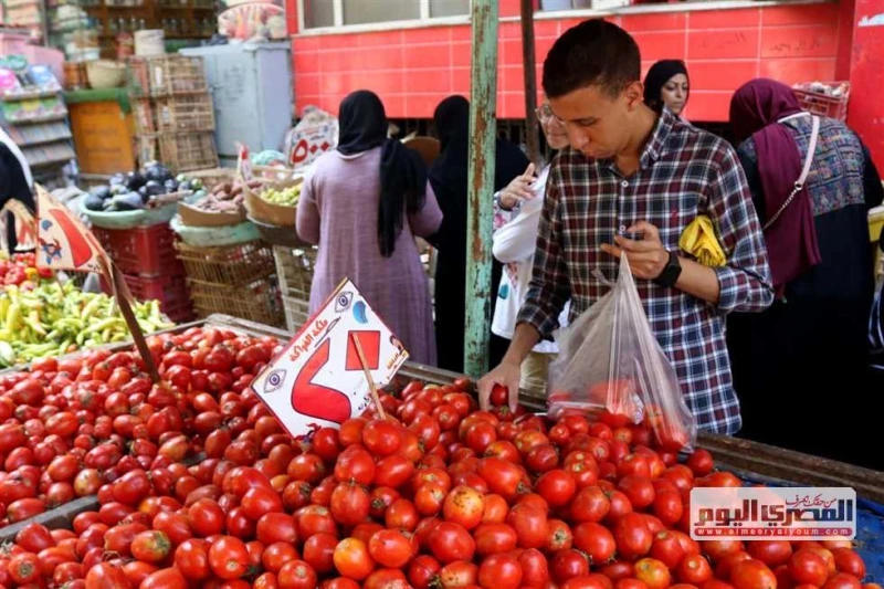 رئيس الوزراء يحدد موعد انخفاض سعر الطماطم أعلن الدكتور مصطفي مدبولي، رئيس الوزراء، أن أسعار الطماطم ستنخفض منتصف أكتوبر المقبل. وقال مدبولي في مؤتمر