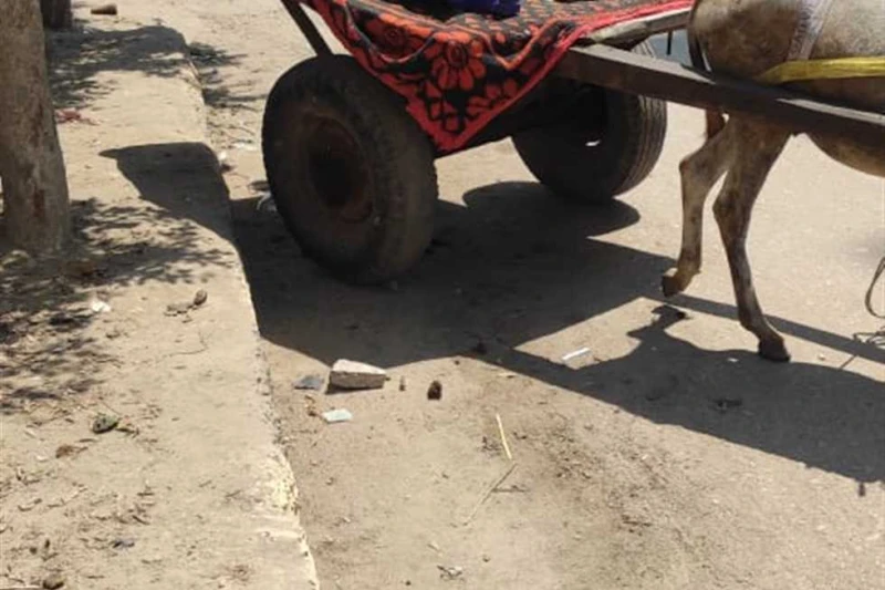 محافظ كفرالشيخ يتابع جهود حملات إزالة الإشغالات في الحامول تابع اللواء دكتور علاء عبدالمعطى، محافظ كفرالشيخ اليوم الاثنين، جهود الوحدة المحلية لمركز