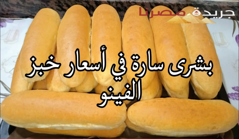 بشرى سارة.. إليكم أسعار الفينو في الأيام القادمة بمناسبة موسم عودة المدارسمع قدوم المدارس وعودة الموسم، يبدأ الكثير من المواطنين بالإقبال على شراء