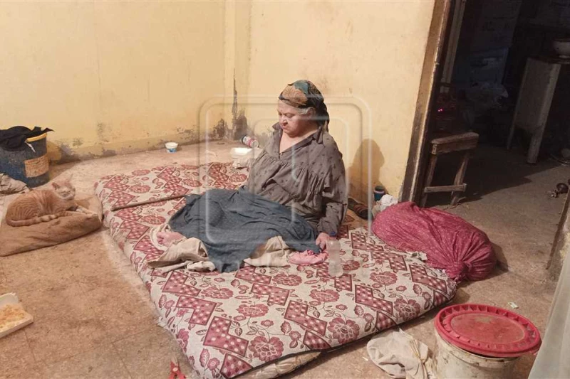 صرخة أم مريضة.. سيدة الدقهلية تستغيث لعلاجها: مبتحركش بقالي 10 سنين (فيديو) أجرى موقع أفاق عربية بث مباشر مع سيدة تدعى فادية أبوزيد المرسي، مقيمة بمدينة السنبلاوين، تستغيث خلاله من