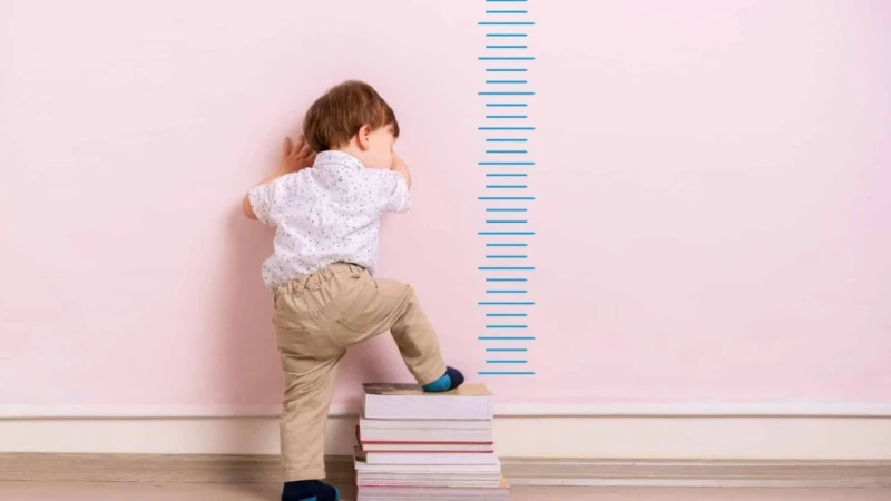 أطعمة تعالج قصر القامة عند طفلك وتزيد الطولقد تلاحظ بعض الأمهات أن طفلهم يميل إلى قصر القامة رغم عدم وجود العامل الوراثي، حيث يلعب الغذاء دورا كبيرا