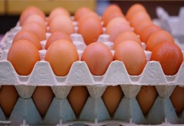 وزارة الزراعة تطرح طبق البيض ب120 جنيها تواصل وزارة الزراعة مجهوداتها لتوفير كميات كبيرة من البيض للمواطنين، مع الحفاظ على تقديم خدمة مميزة بأسعار