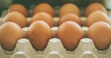 ما تيتغسلش.. 6 أخطاء تجنبيها فى التعامل مع البيض عشان سندوتشات المدرسة المرأة والمنوعات يعد البيض واحدا من أهم أجزاء الوجبات، خاصة الفطار ومع