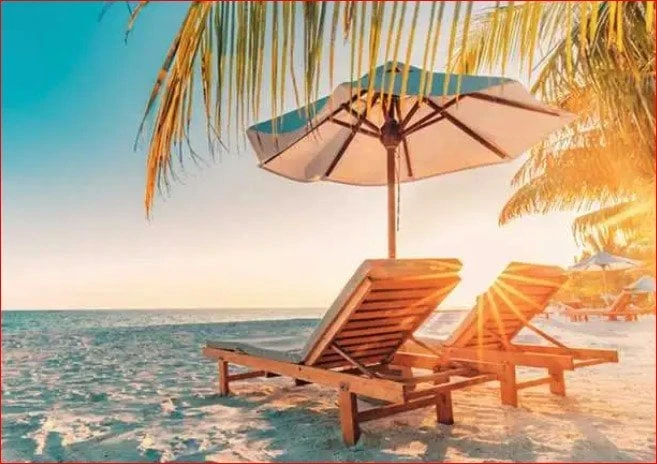 لعشاق الشتاء.. موعد انتهاء فصل الصيف فلكيا منوعات الاسبوع موعد انتهاء فصل الصيف.. يبحث الكثيرون عن موعد انتهاء فصل الصيف 2024 وبداية فصل الخريف، خاصة