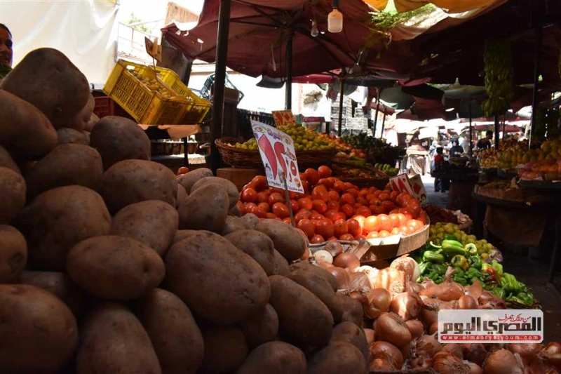 الثوم ب60 جنيها.. أسعار الخضار في أسواق الإسكندرية اليوم 9 سبتمبر 2024 واصلت أسعار الخضروات الارتفاع الملحوظ فى أسواق الجملة والشعبية بالإسكندرية، من