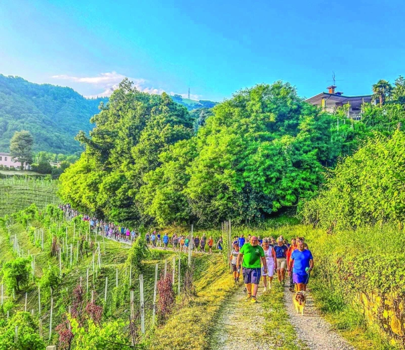 قرية إيطالية تساعد عمدتها على إنقاص وزنه الثقافة والمنوعات روما د.ب.أ: تحظى الأطعمة الإيطالية بشهرة عالمية بأنها شهية للغاية، ابتداء من فطائر كورونتو التي يتم تناولها في الإفطار، و