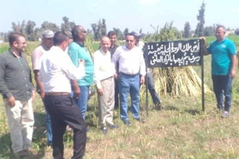 بقوة القانون.. استرداد 8 حالات تعد على أراضي أملاك الدولة ب الشرقية أكد المهندس حازم الأشموني محافظ الشرقية، اليوم الأحد، أن الدولة جادة في إسترداد أراضي أملاك الدولة وتقنين اوضاع 