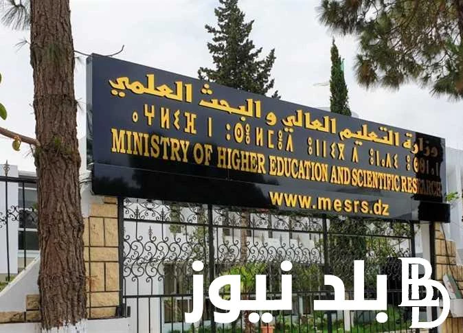 إليكم تفاصيل تنسيق المرحلة الثالثة ادبي لعام 2024 .. الكليات المتاحة للشعبة الأدبية المرحلة الثالثة .() يبحث طلاب الشعبة الأدبي هذه الفترة عن الكليات