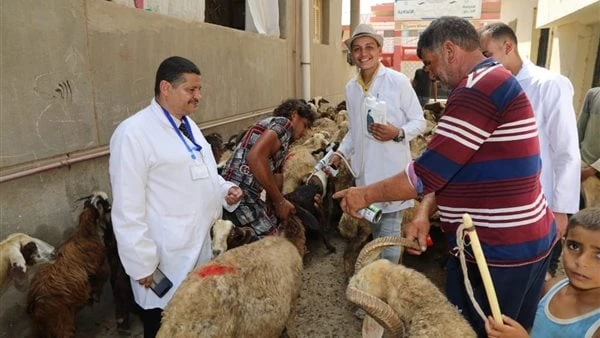 الخدمات البيطرية تفحص وتعالج 170 ألف رأس ماشية مجانا لصغار المزارعين أعلنت وزارة الزراعة أنه ﺗﻢ إﻃﻼق ﺣﻤﻼت وﻗﻮاﻓﻞ ﺑﻴﻄﺮﻳﺔ ﻣﺠﺎﻧﻴﺔ ﺷﺎﻣﻠﺔ ﻓﻲ ﻛﻞ ﻣﺤﺎﻓﻈﺎت اﻟﺠﻤﻬﻮرﻳﺔ، وداﺧﻞ ﻛﻞ ﻣﺤﺎﻓﻈﺔ ﺗﻢ ﺗﻨﻔ