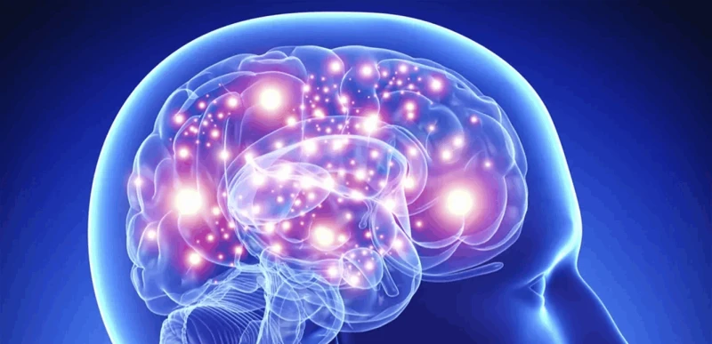 كيف تصل جزيئات البلاستيك إلى الدماغ؟ صحة ذكرت مجلة العلمية أن علماء من البرازيل اكتشفوا الآلية التي تصل فيها جزئيات المواد البلاستيكية إلى الدماغ البشري. وأشار القائمون على الدراسة