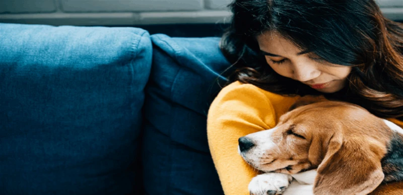 دراسة تكشف أهمية إحتضان الكلاب للتعافي من الألم صحة وجد علماء في ألمانيا أن الكلاب يمكن أن تخفف من الشعور بالألم أثناء التعافي من محنة جسدية.وقالت الدكتورة هايدي ماورسبيرغر، التي أ